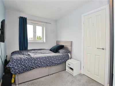 Picture 20